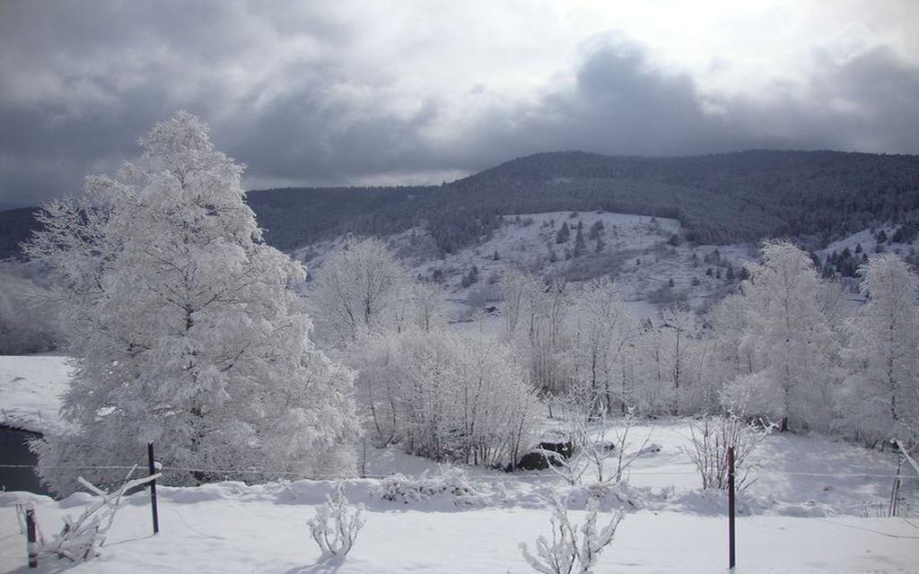 Les Chantenées La Bresse Esterno foto