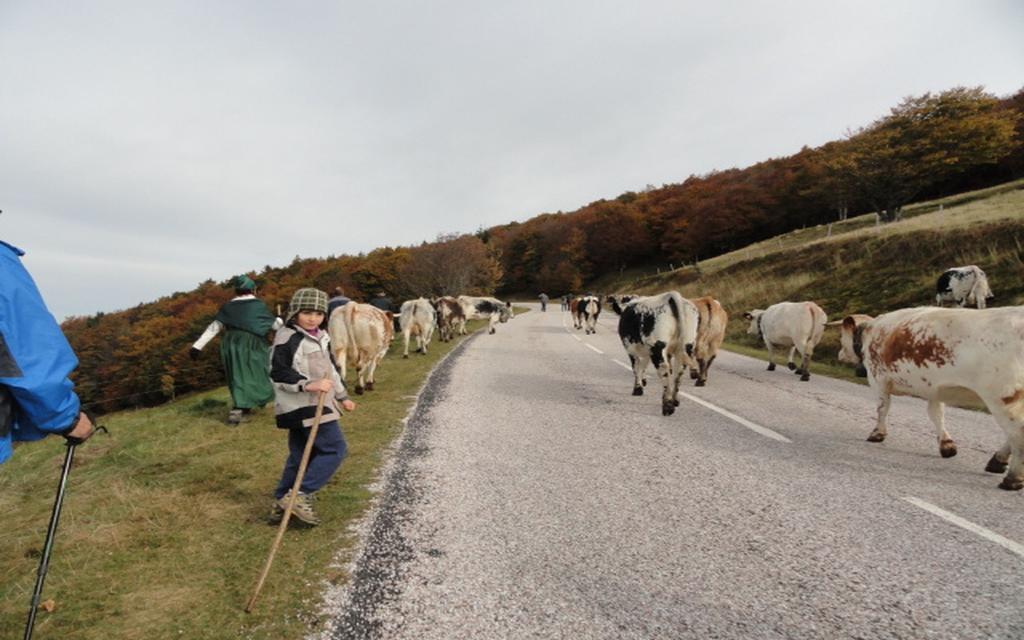 Les Chantenées La Bresse Esterno foto