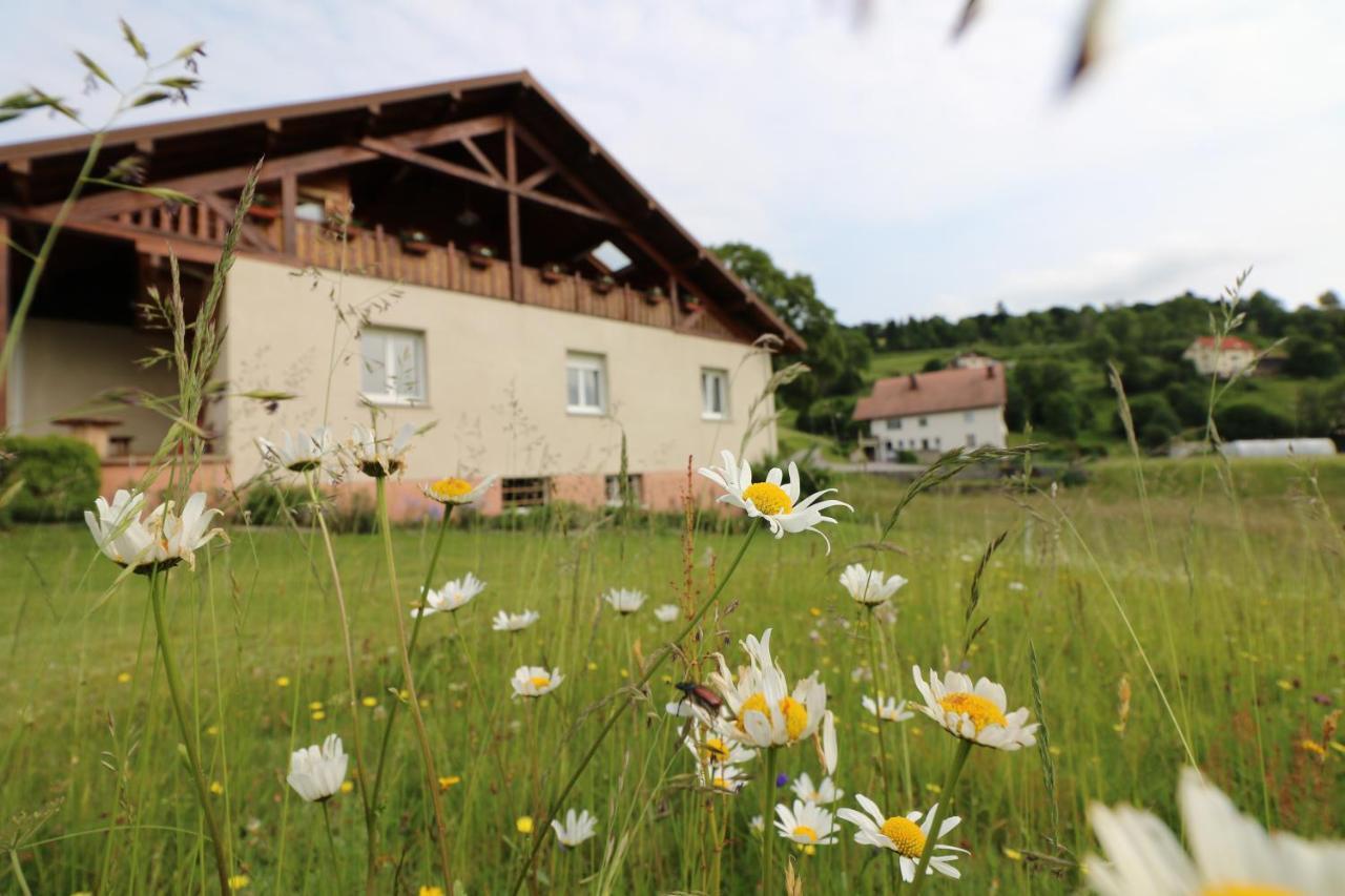 Les Chantenées La Bresse Esterno foto