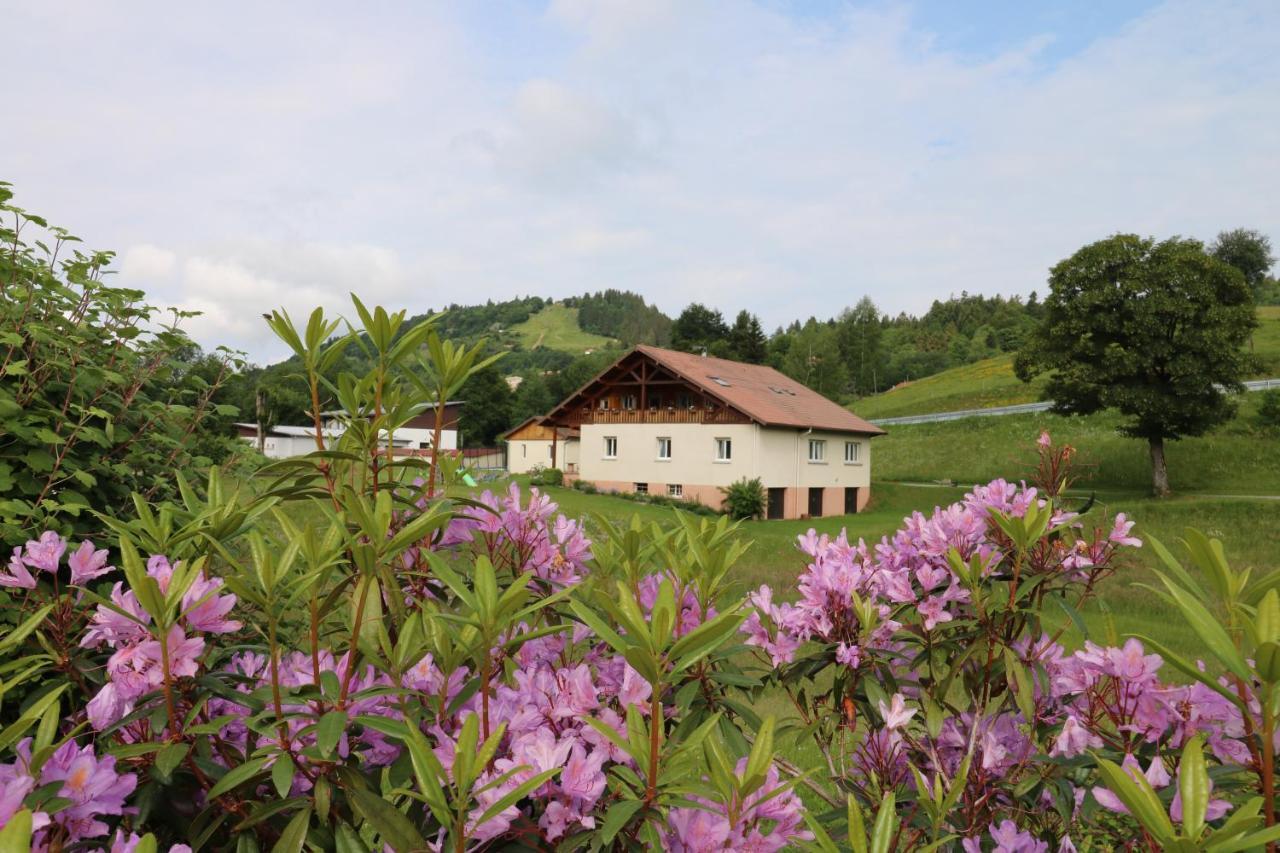 Les Chantenées La Bresse Esterno foto