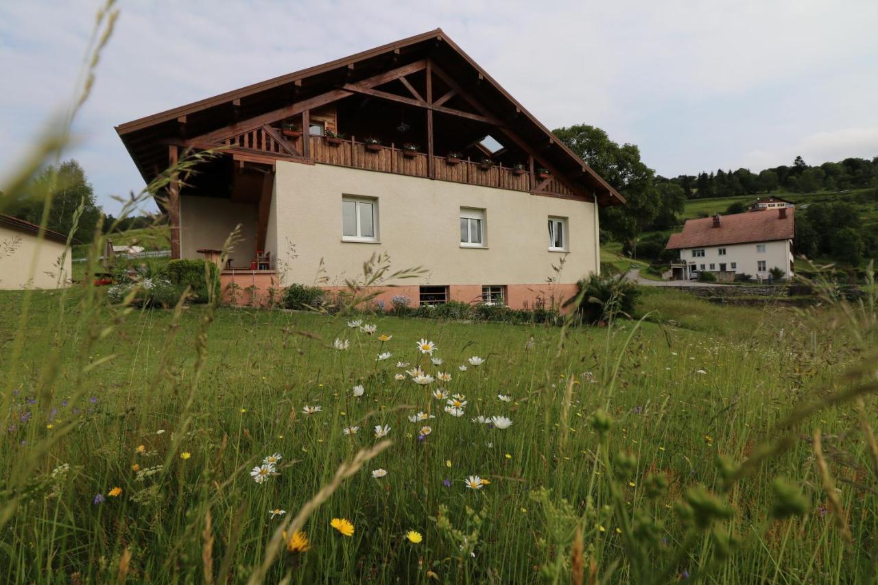 Les Chantenées La Bresse Esterno foto